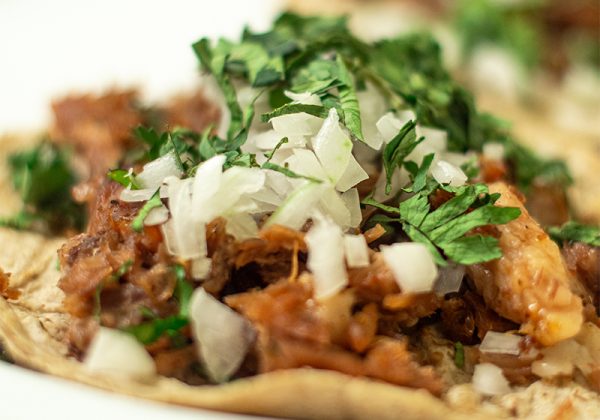 sessionCostillita_0000_Developed-61